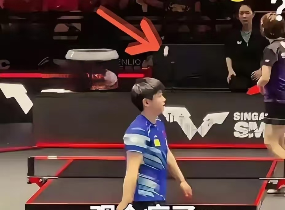 孙颖莎对阵凯尔特人激战胶着，最终险胜对手的简单介绍